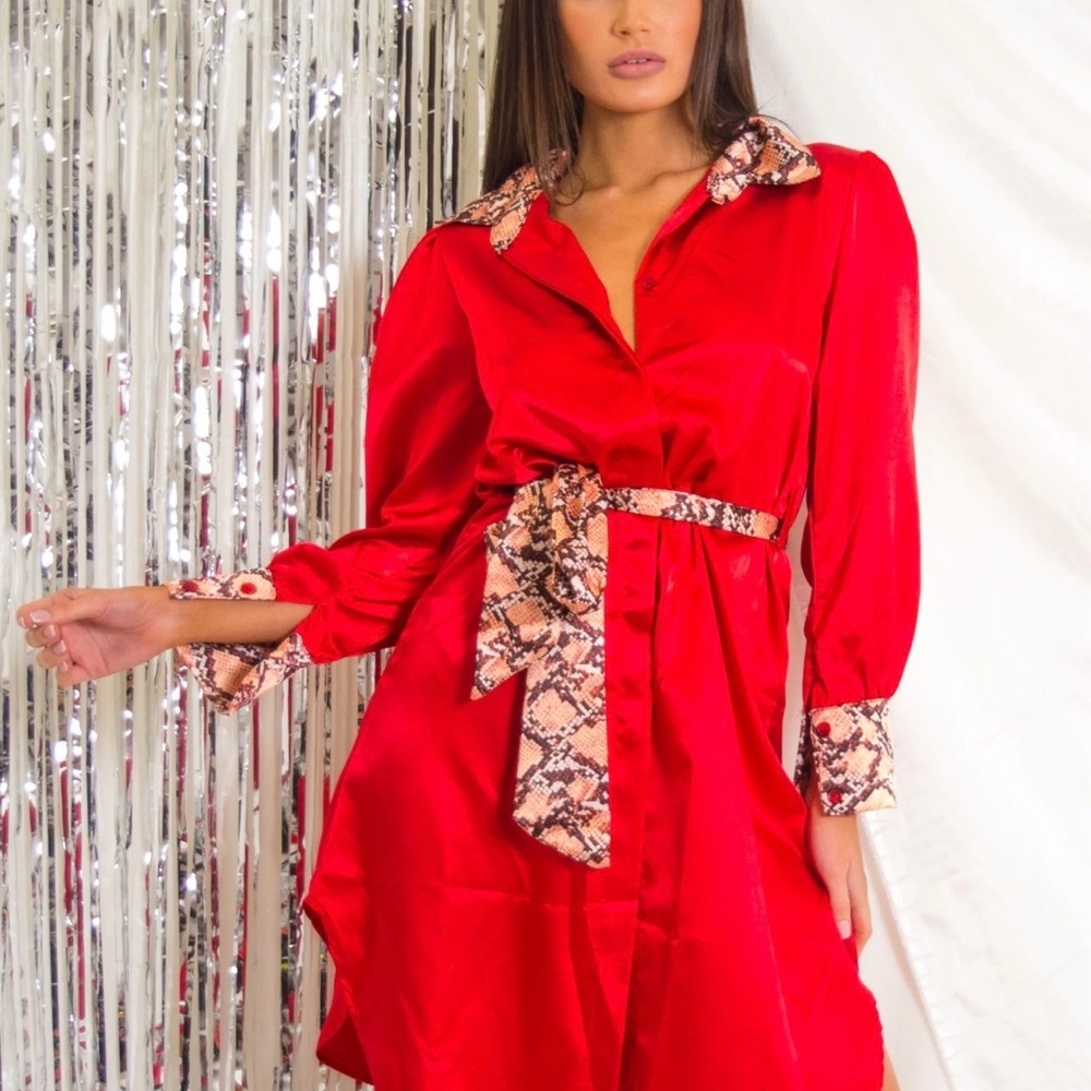 Red Satin Shirt Dress with Snake-Print Trim